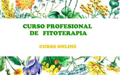 Curso profesional de Fitoterapia-Herbología