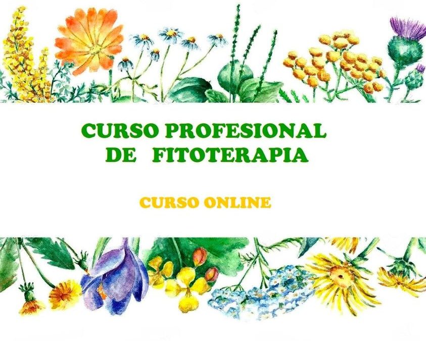 Curso profesional de Fitoterapia-Herbología
