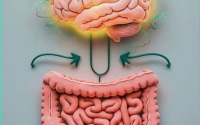 Homeostasis-Equilibrio intestinal