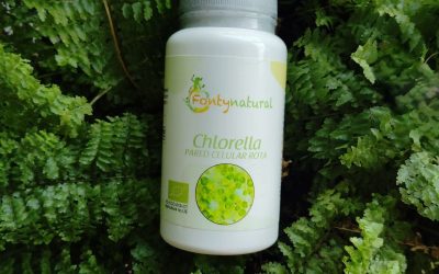 Alga clorella, beneficios: